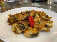 -绿雅居原生态农庄(小涌店)