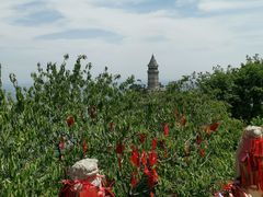 -天津盘山风景名胜区