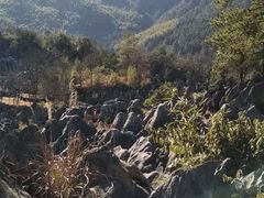 -千岛湖石林