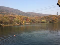 -紫霞湖公园