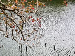 -花溪公园