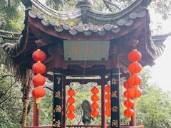 -杭州西湖风景名胜区-三生石