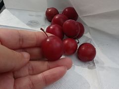 -后海彼岸花园餐厅