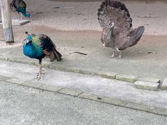 -韶关经律论国际酒店温泉