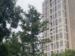 -星城之眼摩天轮