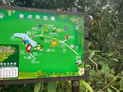 -海南热带野生动植物园