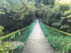 -三块石国家森林公园