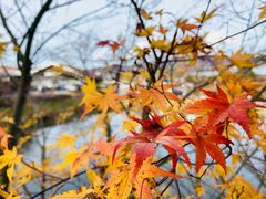 -轻井泽王子购物广场