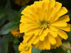 -长春公园(普阳街道)