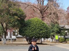 -南山风景名胜区
