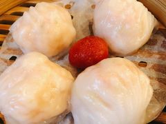 金牌虾饺皇-点都德(北京路贰店)