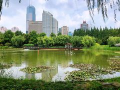 -新虹桥中心花园