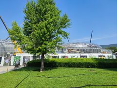 -北京植物园-展览温室