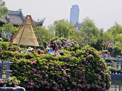 -无锡蠡湖国家湿地公园-蠡园