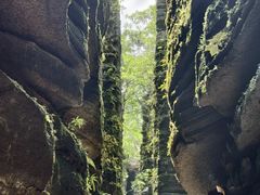 -梭布垭石林景区