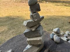 -华东政法大学(松江校区)