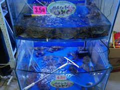 水产区-祥鹤龙虾螃蟹