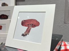 -KAFKA·卡夫卡咖啡(文林店)