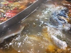 -大理.老字号渝记酸萝卜乌鱼(古城总店)