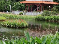 -东山湖公园