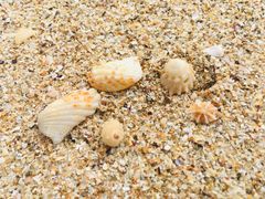 -西涌国际滨海旅游区