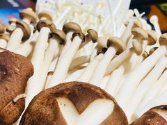 -潮流汇购物城(铜锣湾国际购物中心店)