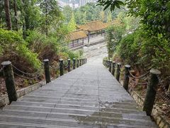 -铁山坪森林公园