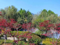 -牛首山文化旅游区