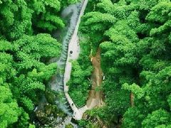 -蜀南竹海景区