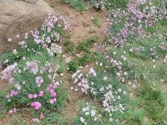 -北工大风味餐厅(北京工业大学东区店)