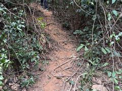 -广州市白云山风景名胜区