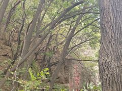 -萨尔浒风景区