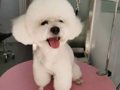 -宠颐生中康贝怡动物医院