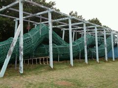 -广东茂名森林公园