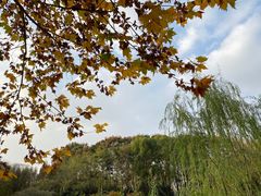 -后襄河公园