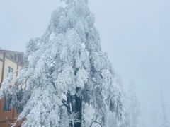 -峨眉山风景名胜区