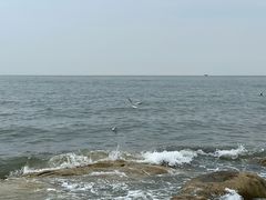 -老虎石海上公园