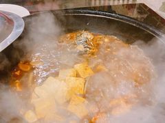 水库胖头鱼-姥家大锅台水库渔家