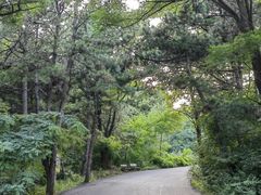-沈阳辉山风景区