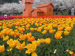 -苏州上方山国家森林公园