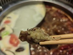 -蜀留香火锅·始于1999·原四川老火锅(白堤路店)