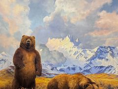 -美国自然历史博物馆