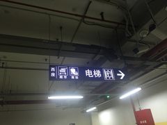 -紫荆广场-停车场