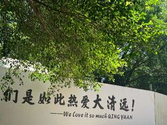 -芭厘·农庄老字号.电饭煲五指毛桃焗鸡