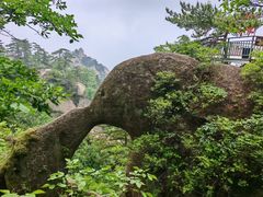 -六里坪国家森林公园