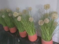 -唐宫足道·SPA·住宿24H会所(木渎店)
