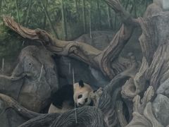 -武汉动物园