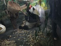 -无锡动物园·太湖欢乐园