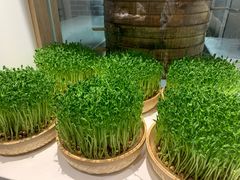 -千稻剁椒大鱼头(CityOn熙地港店)