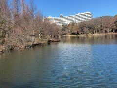 -井之头恩赐公园